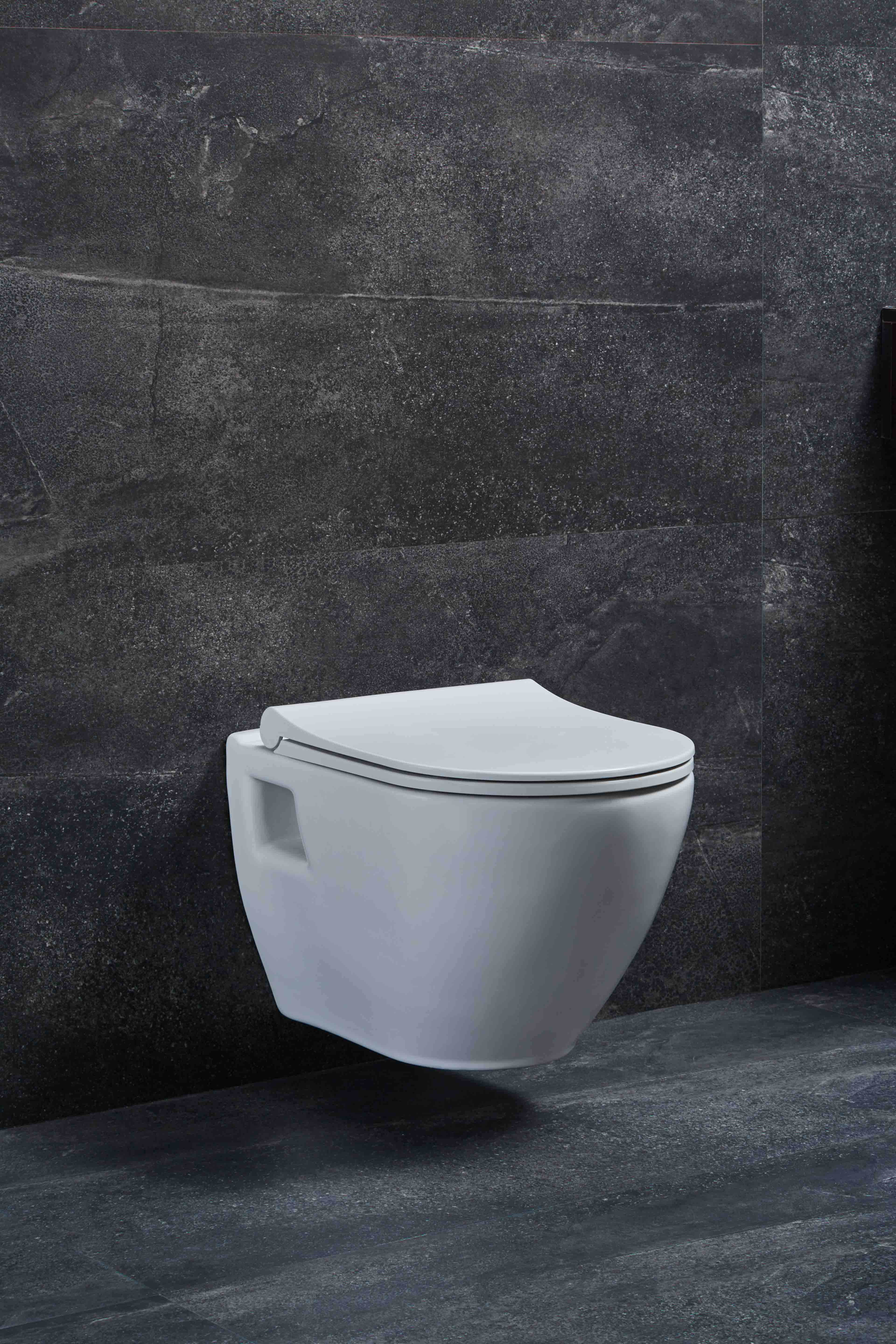 Wall Mounted Toilet Set (CREAVIT)
